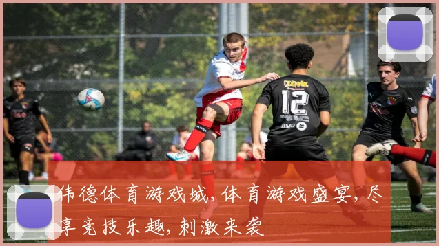 伟德体育游戏城,体育游戏盛宴,尽享竞技乐趣,刺激来袭